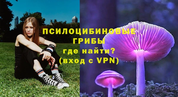 прущие крисы Богородицк