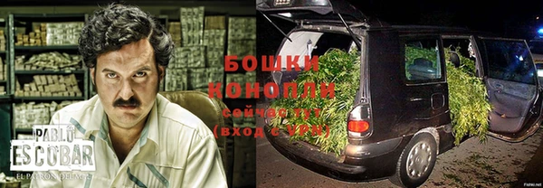 apvp Белокуриха