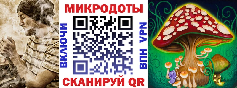 Псилоцибиновые грибы Psilocybe  цены наркотик  Вязники 